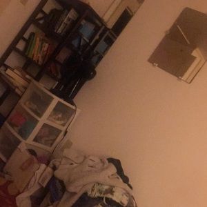 Meet your Posher, Tara